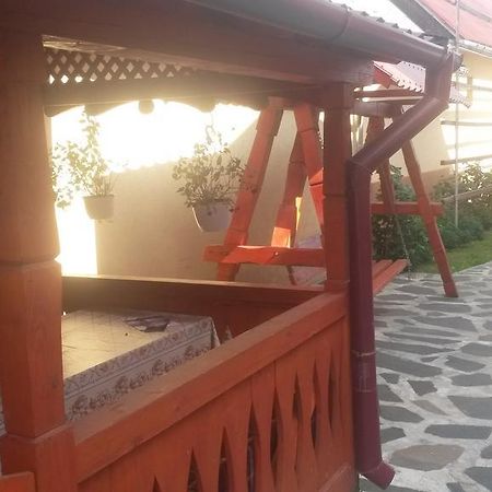Pensiunea Adi Sapinta Luaran gambar